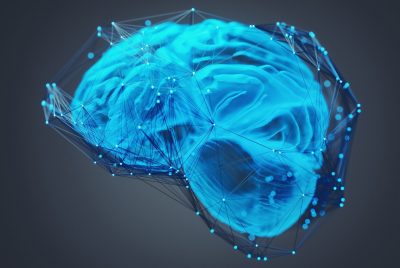 Image of a brain