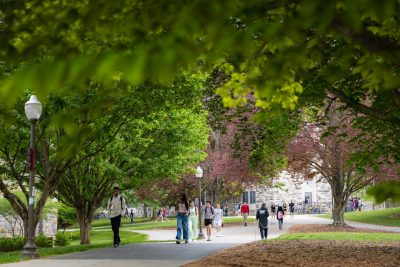 Trees with green leaves create a canopy for students to walk beneath