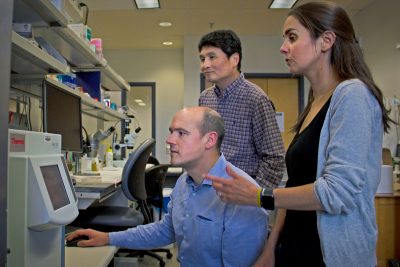 Researchers Clément Vinauger, Jake Tu, and Chloé Lahondère surround a computer screen talking and viewing data from their mosquito research. Vinauger is sitting at the computer with his hand on the mouse while Tu and Lahondère stand around him. The computer screen is not visible but is surrounded by another monitor, microscopes, and other research equipment within the Vinauger lab.