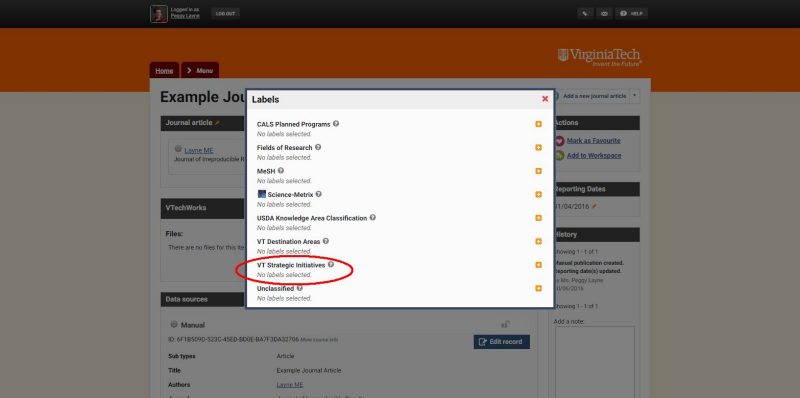 Screen capture of VT Strategic Initiatives label