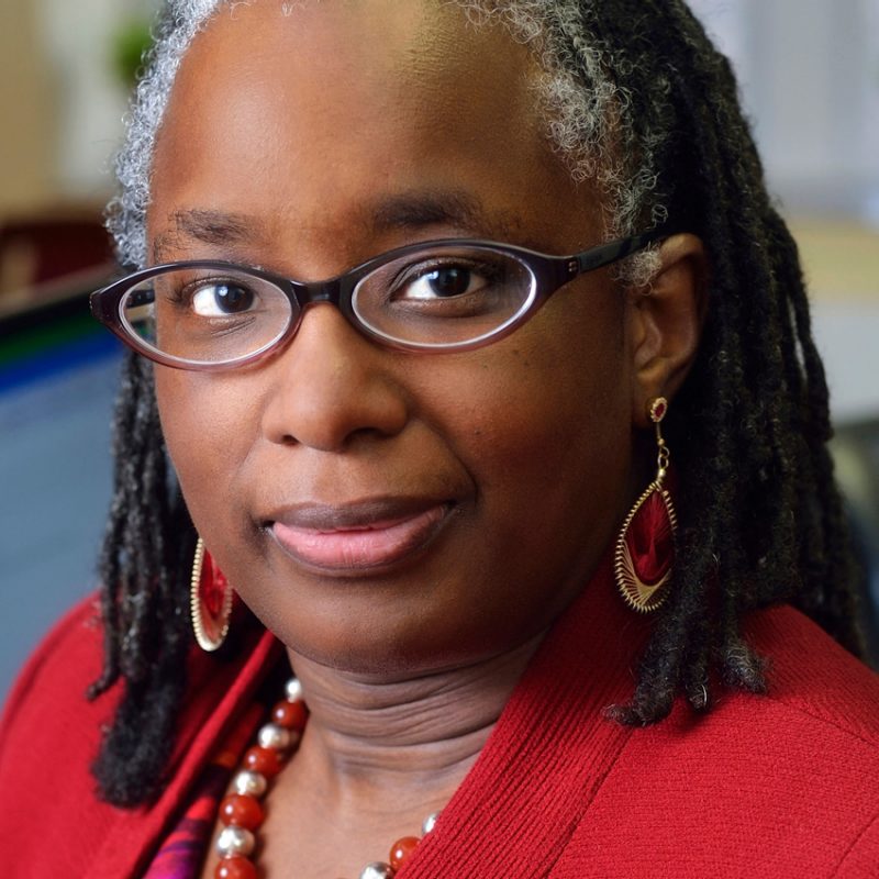 Vice President for Strategic Affairs and Vice Provost for Inclusion and Diversity, Menah Pratt-Clarke